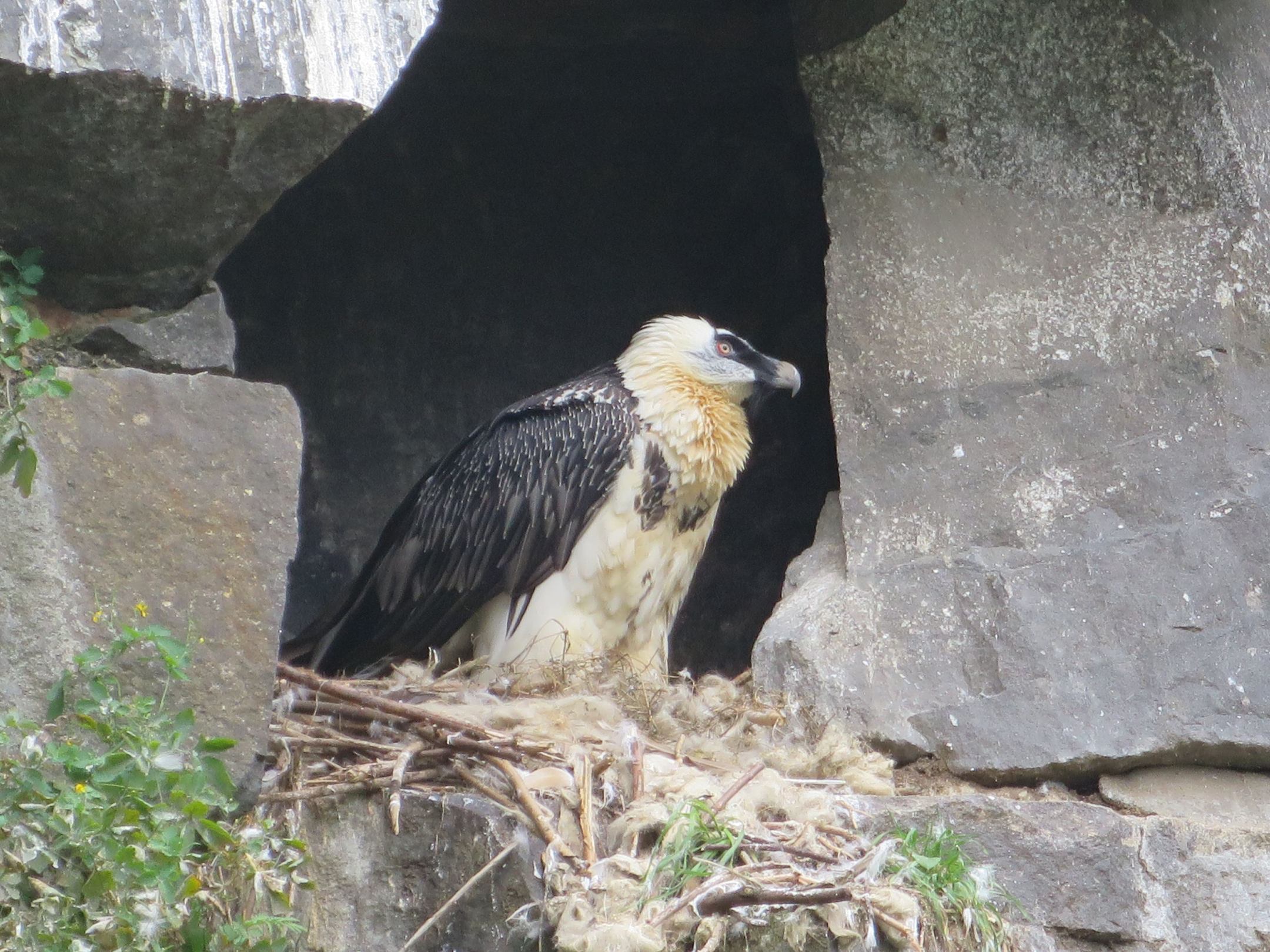 Tierpark Zoo  23